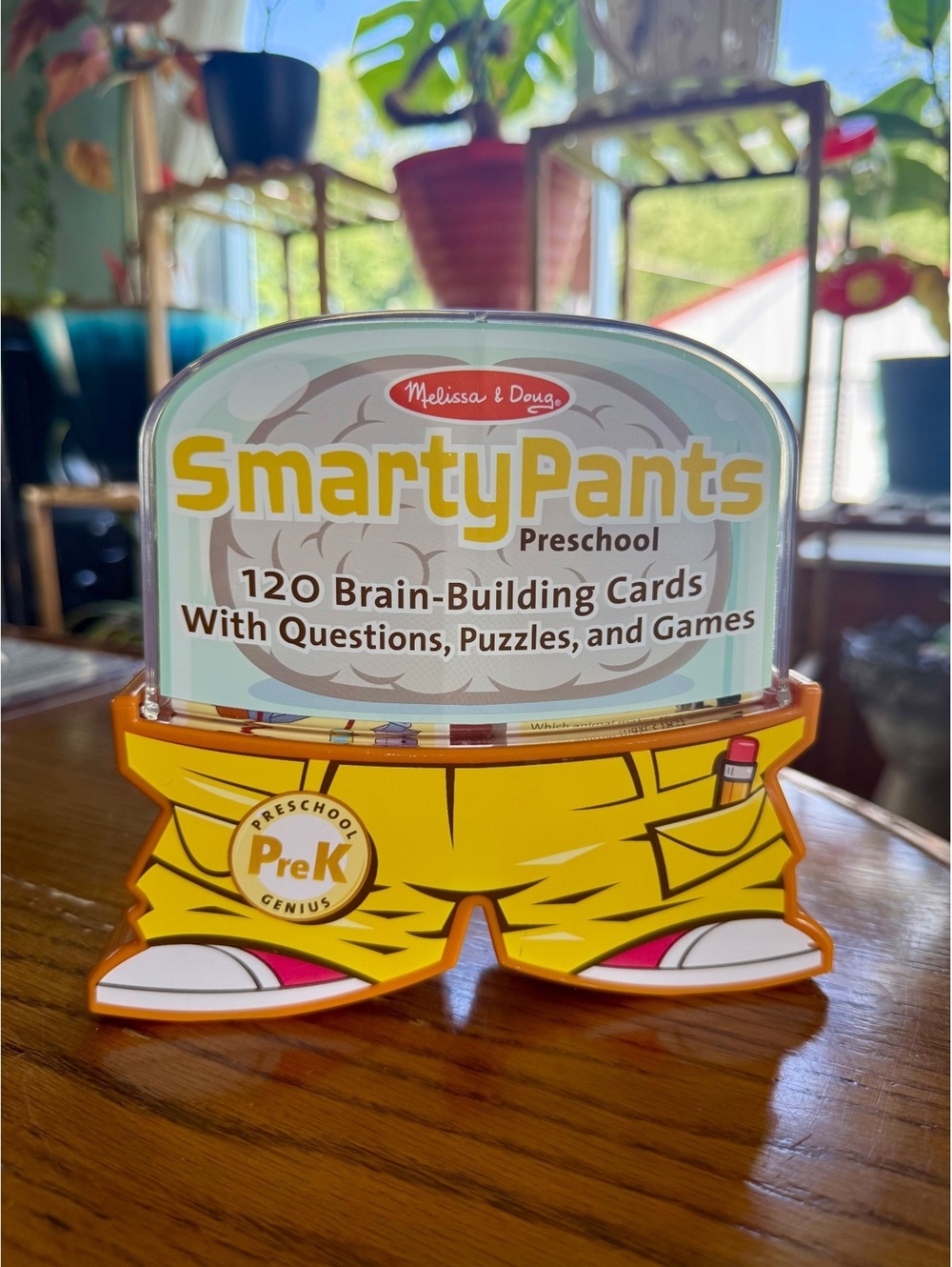Melissa & Doug Smarty Pants Preschool Pre-K Brain Building Cards Complete Set